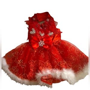 Glitzy Red Dog Dress #1 from England